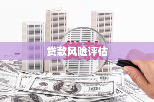 甘井子贷款风险评估