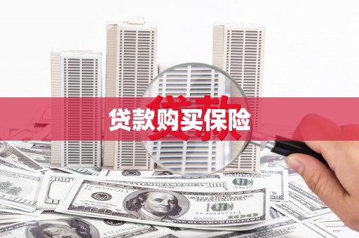偃师贷款购买保险