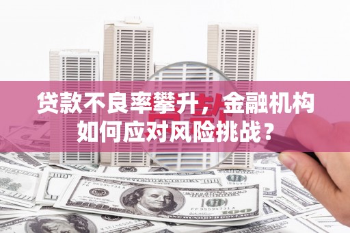 霍邱贷款不良率攀升，金融机构如何应对风险挑战？