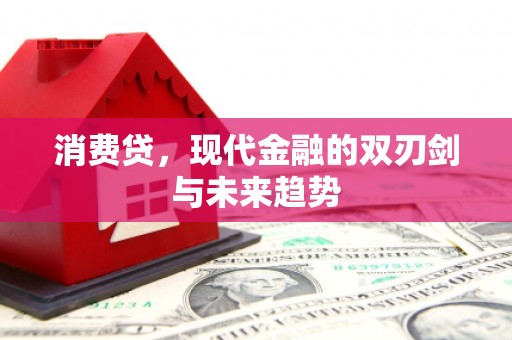 鹿寨消费贷，现代金融的双刃剑与未来趋势