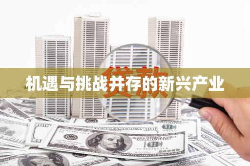 达孜机遇与挑战并存的新兴产业