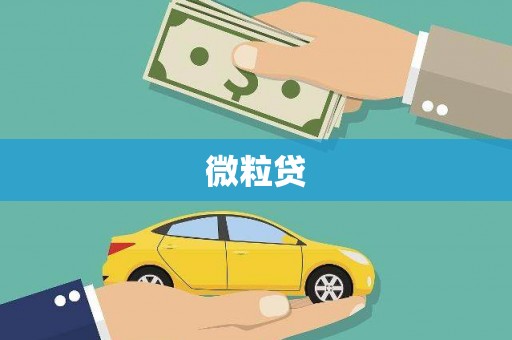 墨江微粒贷