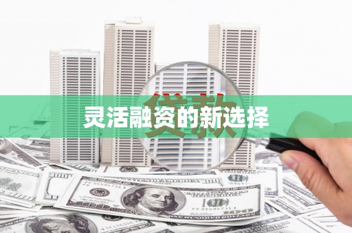 台前灵活融资的新选择