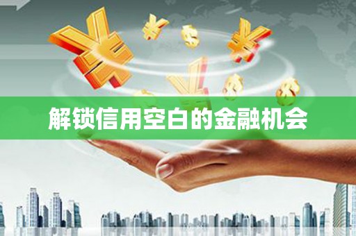 保亭解锁信用空白的金融机会