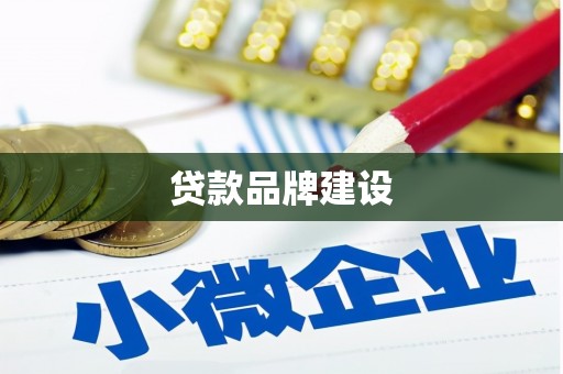 田林贷款品牌建设