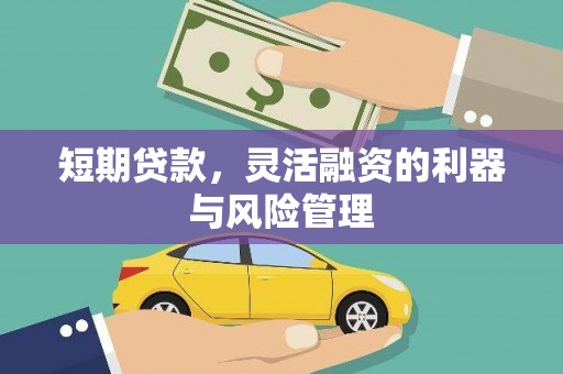 洪雅短期贷款，灵活融资的利器与风险管理